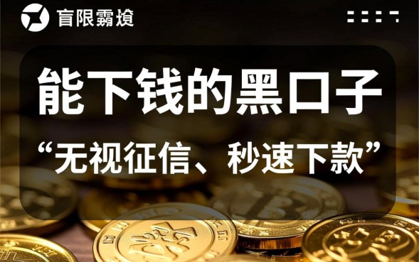 2026年必下款的黑口子有哪些