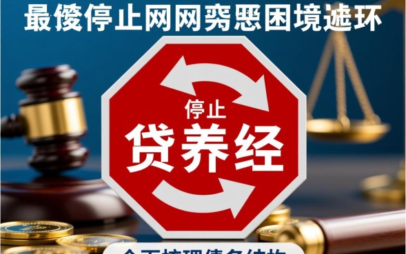 负债过高的网贷还不起了怎么办