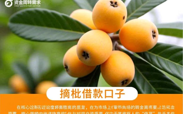 摘枇杷借款口子靠谱吗
