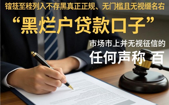 2026最新不用审核能下款吗