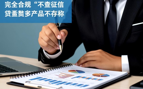 真的不查征信能下款吗