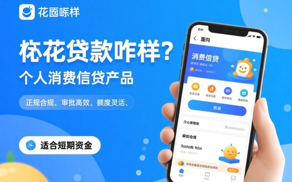 靠谱吗审核多久能下款