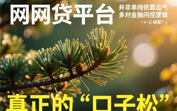 口子松的网贷平台有哪些,2026容易下款的口子推荐 2026容易下款的口子推荐