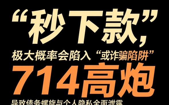 2026有哪些黑口子口子能下款