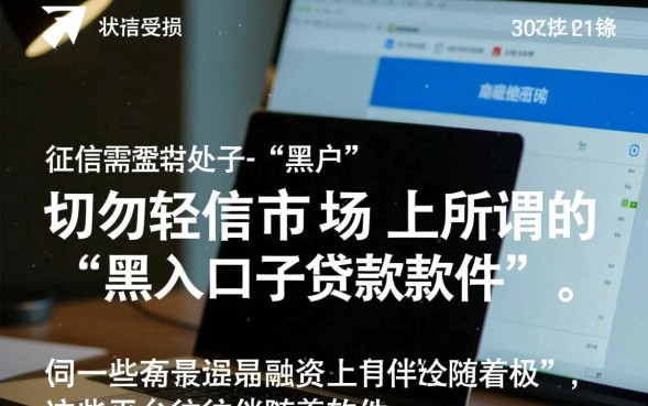 黑户口子贷款软件哪个容易下款