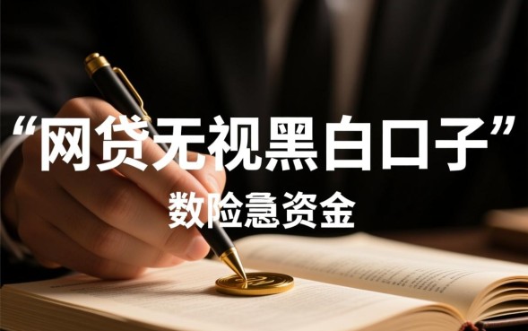 2026不用审核怎么下款