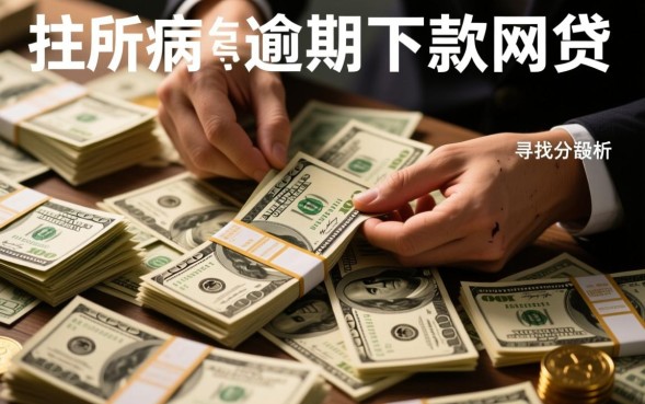 逾期下款的网贷有哪些