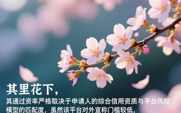 审核通过率高吗怎么申请秒下款