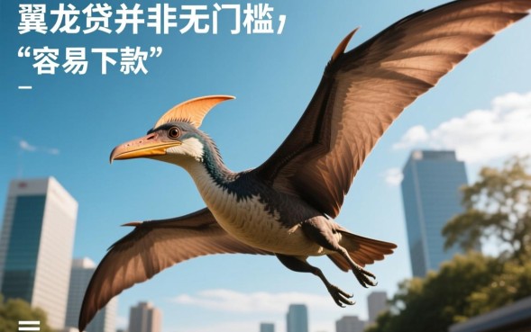 申请需要满足哪些条件