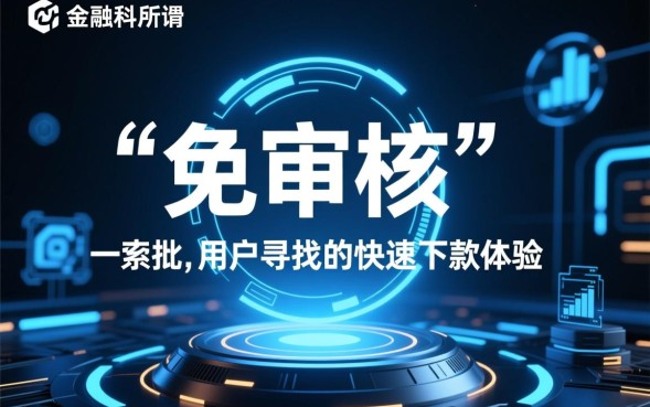 哪里可以申请不用审核的贷款