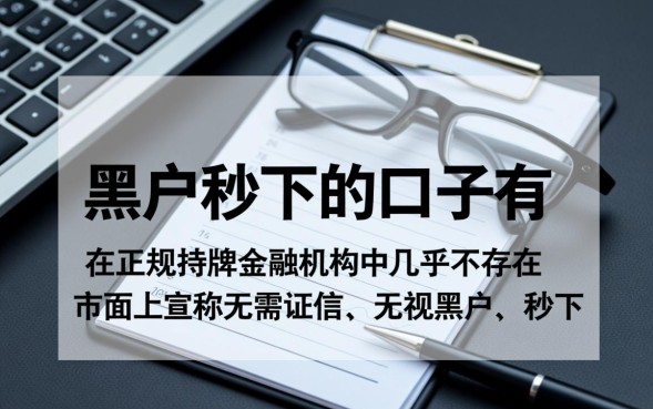 黑户秒下的口子有吗,黑户贷款哪里能申请秒下款 黑户贷款哪里能申请秒下款