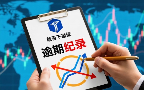 逾期可下款的口子有哪些