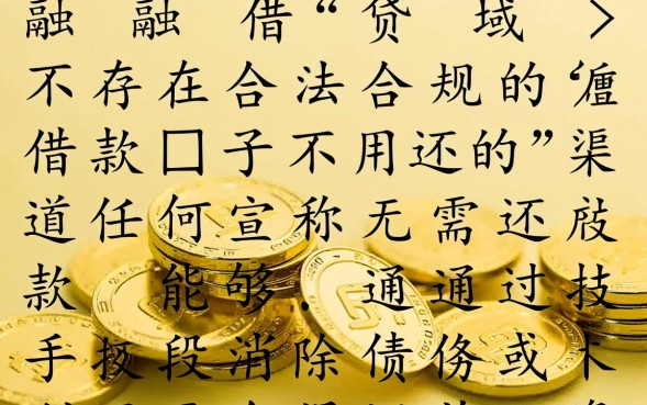 2026不用还的借款口子有哪些