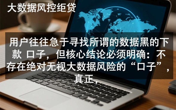 数据黑的下款口子有哪些