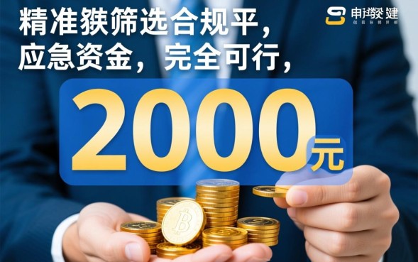 黑花口子2000怎么借