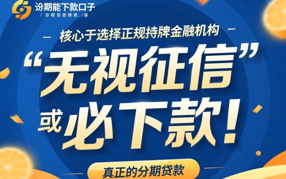 分期能下款的口子有哪些