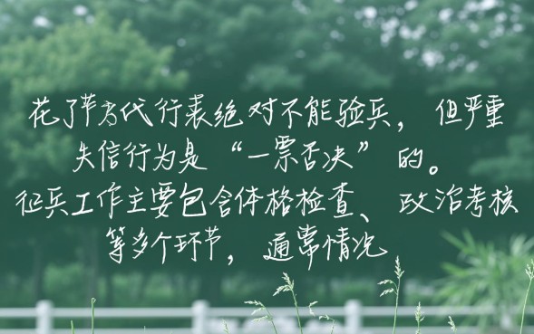 征信花了影响政审吗