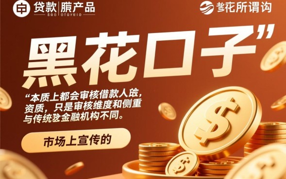 黑户贷款不看征信能下款吗