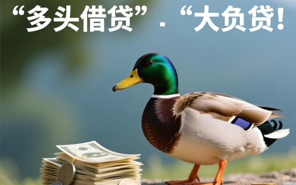 花鸭借钱看负债吗,花鸭借款负债高能下款吗? 花鸭借款负债高能下款吗