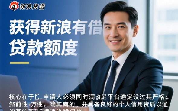 新浪有借借款条件是什么