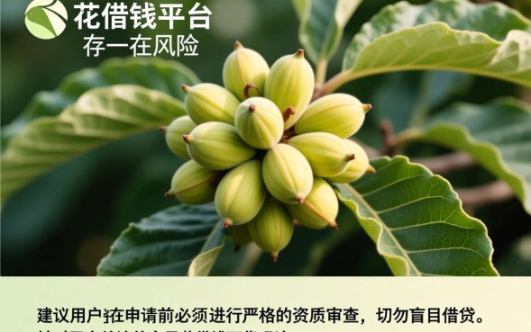 白果花借钱可靠吗,是正规平台吗利息高吗安全吗 是正规平台吗利息高吗安全吗