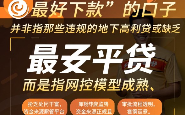 2026年不看征信容易下款有哪些