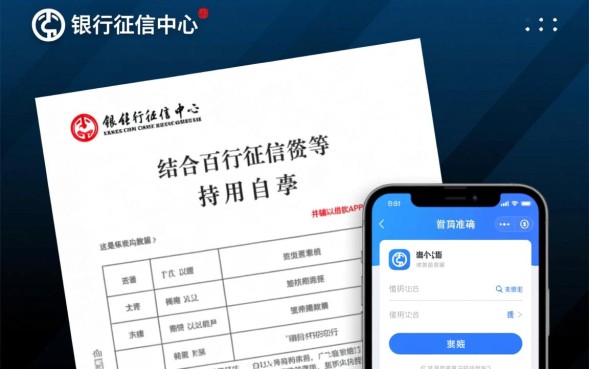 个人网贷大数据查询平台有哪些