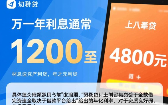 网贷两万一年利息多少