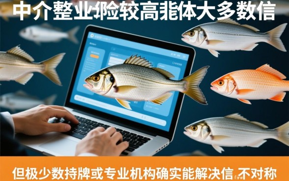 找贷款中介办理贷款安全吗