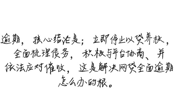 网贷全面逾期怎么办