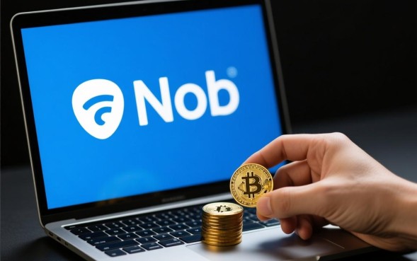 借了网贷不还会怎么样有哪些后果