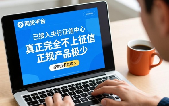 2026年正规网贷不上征信有哪些