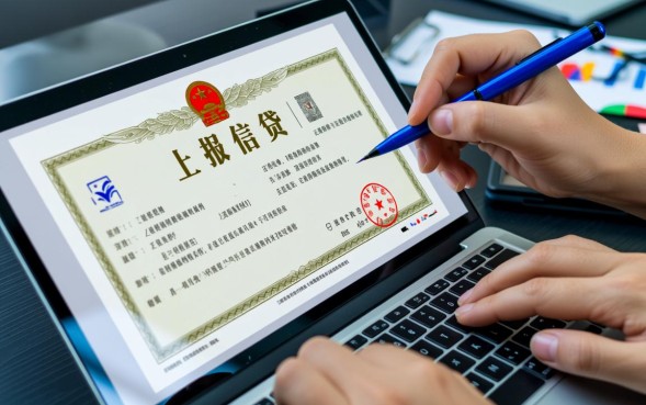 2026年哪些网贷上征信