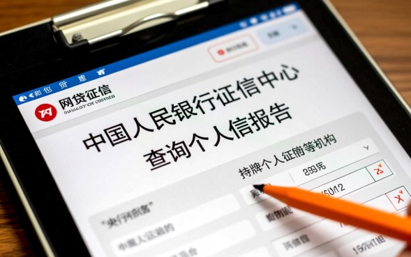 个人网贷大数据在哪里查询