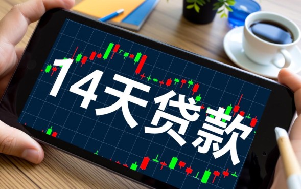 14天无抵押贷款哪里借最快下款