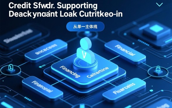 做共同贷款人有什么风险