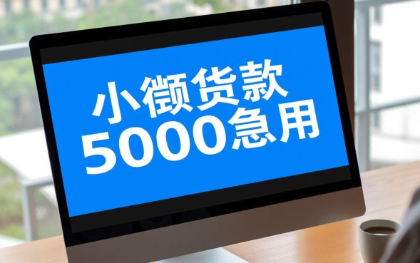 小额贷款5000急用怎么申请