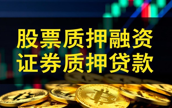 股票抵押贷款需要什么条件