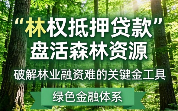 林权抵押贷款风险怎么防范