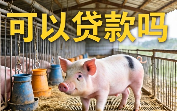 养猪贷款需要什么条件最全攻略