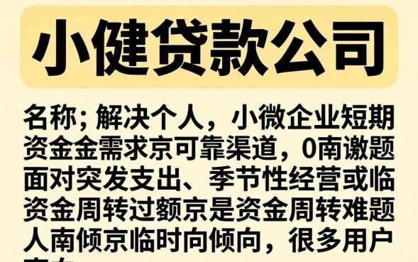 南京正规小额贷款公司排名