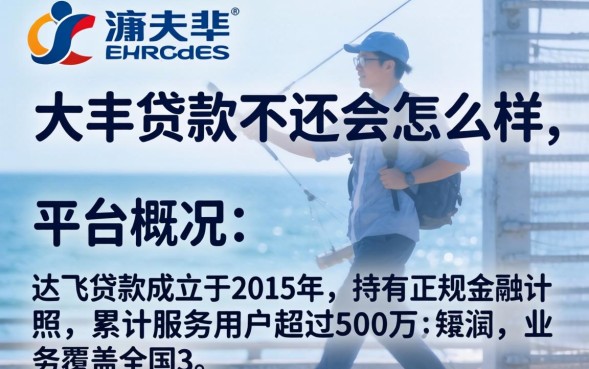 达飞贷款不还会怎么样